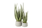 Aloe-Pot-Synthetique-4110-Vert-Gris-Large-02-Jolipa
