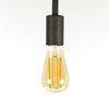 Ampoule-filament-8450-39A-fond-blanc-ambi-Zijlstra