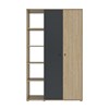 Armoire-bibliotheque-2-portes-pleine-4-niches-1G2V180-Ritmo-chataignier-naturel-noir-front-Gautier