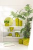 Cache-pot-53684-53685-H10,3-citron-vert-Jolipa