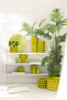 Cache-pot-53684-53685-H10,3-citron-vert-Jolipa