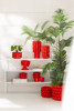 Cache-pot-53708-53709-53710-53711-fraise-Jolipa