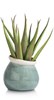 Carafe-Amalfi-h25-47134BLW-02-Coco-Maison