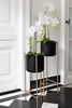 Fleur-articielle-orchidee-93451-blanc-medium-ambi-Jolipa