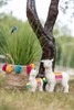 Lama-Deco-Laine-2790-Blanc-Mix-Small-02-Jolipa