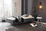 Lit-1-personne-Phoenix-decor-gris-AD118-90x200cm-ambi-Rauch