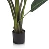 Plante-Strelitzia-Nicolai-150cm-44351-GRN-03-Coco-Maison