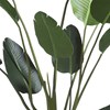 Plante-Strelitzia-Nicolai-150cm-44351-GRN-04-Coco-Maison