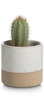 Pot-De-Fleurs-Louisa-Blanc-Beige-7cm-47093-LBL-02-Coco-Maison