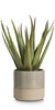 Pot-De-Fleurs-Louisa-Olive-Beige-19cm-47091-OLI-02-Coco-Maison