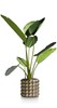 Pot-De-Fleurs-Sara-Or-21cm-47467-GOU-02-Coco-Maison