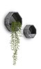 Pot-de-fleurs-murale-Terrazzo-41677-ANT-02-Coco-Maison