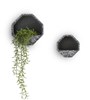 Pot-de-fleurs-murale-Terrazzo-41677-ANT-04-Coco-Maison