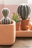Set-De-2-Cactus-Pot-Synthetique-4107-Vert-Terracotta-Small-02-Jolipa
