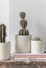 Set-De-2-Cactus-Pot-Synthetique-4107-Vert-Terracotta-Small-03-Jolipa