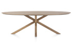 Table-Trapani-51943-mangifera-placage-metal-210x120cm-02-HH