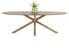 Table-Trapani-51944-mangifera-placage-metal-240x120cm-02-HH