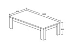 Table-de-salon-Elvis-decor-bois-chene-blanc-120x40x60cm-dessin-Oosterlynck