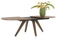 Table-extensible-190cm-Everest-52112MAN-smoked-mango-veneer-03