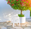 Tabouret-Rik-45-blanc-Crack-Home-OUTDOOR-02