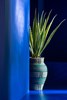 Vase-cecile-51863-rotin-bleu-Jolipa-02