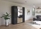 Armoire-2-portes-pleines-2-portes-miroir-3-tiroirs-Davoa-imitation-chene-artisan-gris-metal-5DA8-AG446-Rauch