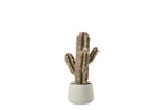 Cactus-Pot-Synthetique-4117-Vert-Gris-01-Jolipa