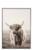 Cadre-Yak-Prairie-18800-Bois-Canevas-Blanc-Noir-01-Jolipa