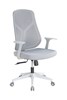 Chaise-de-bureau-Laura-QZY-N2453GB-Crack-Home-01