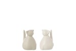 Chats-assis-blanc-gris-s-11848