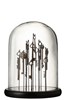 Cloche-Cles-2925-Verre-Marron-Fonce-Medium-01-Jolipa