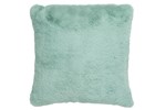 Coussin-Cutie-76899-polyester-munt-1-Jolipa