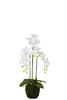 Fleur-articielle-orchidee-93451-blanc-medium-Jolipa