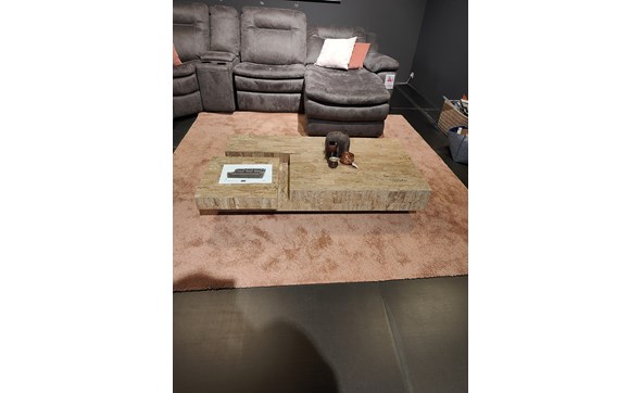 Outlet-Bertrix-2024-04-table-basse-galilea