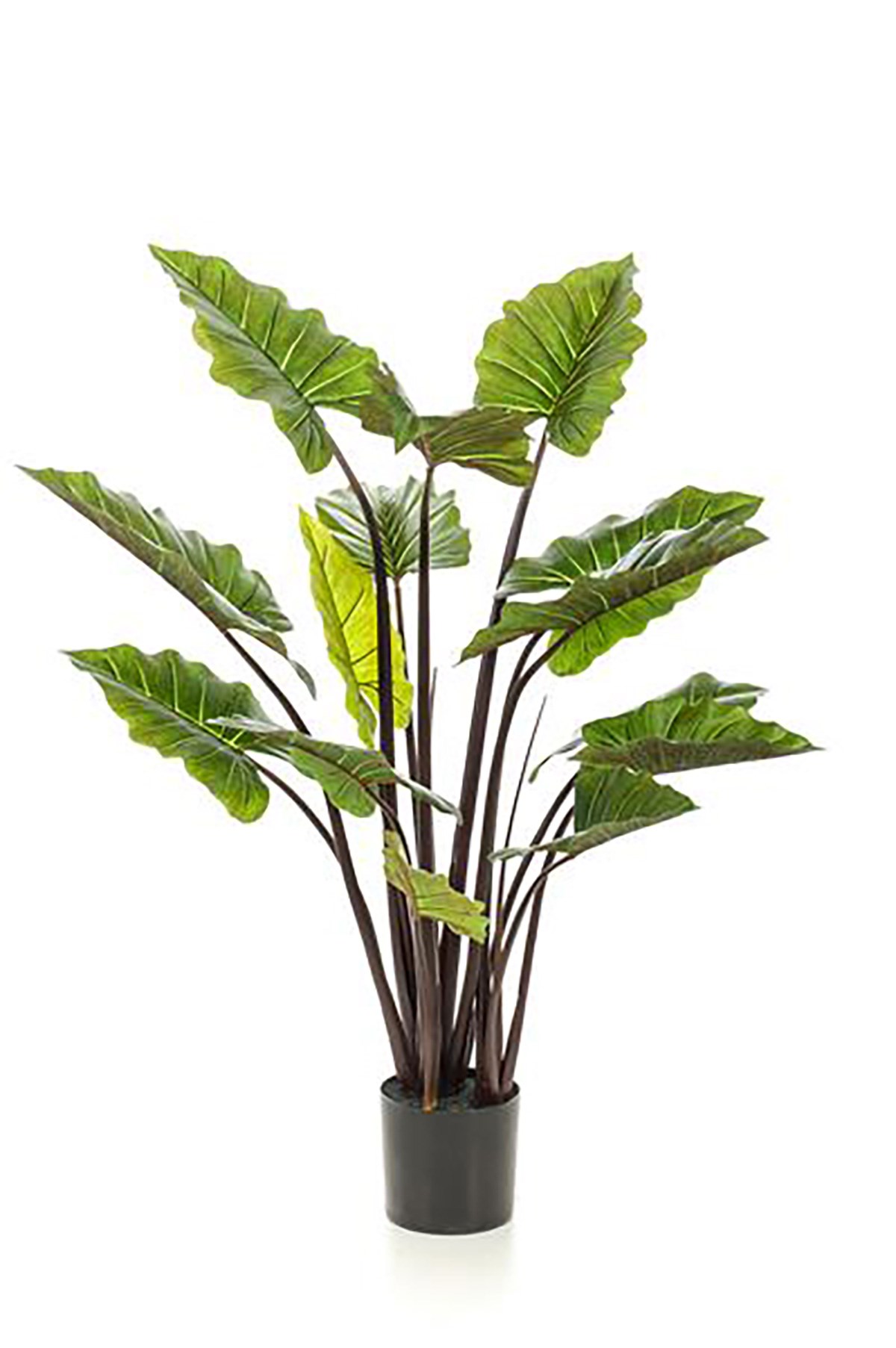 Plante artificielle Colocasia - Meubles Crack