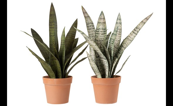 Plante-articielle-sanseveria-4113-vert-terracotta-large-Jolipa