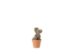 Plante-artificielle-cactus-irregulier-4116-vert-terracotta-Jolipa