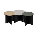 Set-3-tables-de-salon-Craft-chene-artisan-noir-vert-gris-01-Gautier