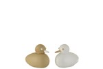 Set-De-2-Canard-2324-Resine-Blanc-Beige-Small-01-Jolipa