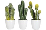 Set-De-3-Cactus-Pot-60583-Vert-Large-01-Jolipa