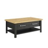 TDS-Sequoia-1J1K087-Chene-artisan-noir-01-Gautier
