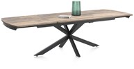 Table-46784-Pavalon-Drift-wood-HPL-V2-Persp-Henders-Hazel