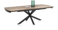 Table-46788-Pavalon-Drift-wood-HPL-V5-Persp-Henders-Hazel