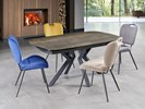 Table-Anemone-extensible-Girardeau