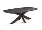 Table-TF2101-Nox-noir-pied-spider-GBO