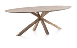 Table-Trapani-51943-mangifera-placage-metal-210x120cm-01-HH