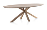 Table-Trapani-51943-mangifera-placage-metal-210x120cm-01-HH