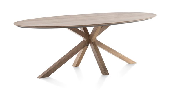 Table-Trapani-51943-mangifera-placage-metal-210x120cm-01-HH