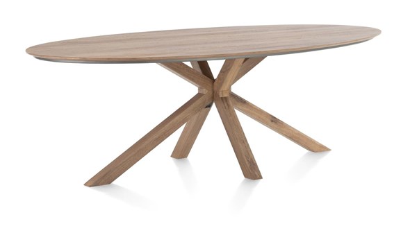 Table-Trapani-51944-mangifera-placage-metal-240x120cm-01-HH