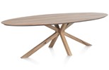 Table-Trapani-51945-mangifera-placage-metal-270x120cm-01-HH